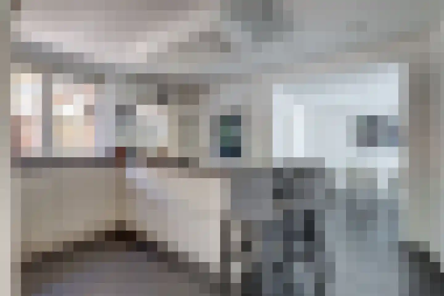 Ranonkelstraat 28 Vught thumbnail 10