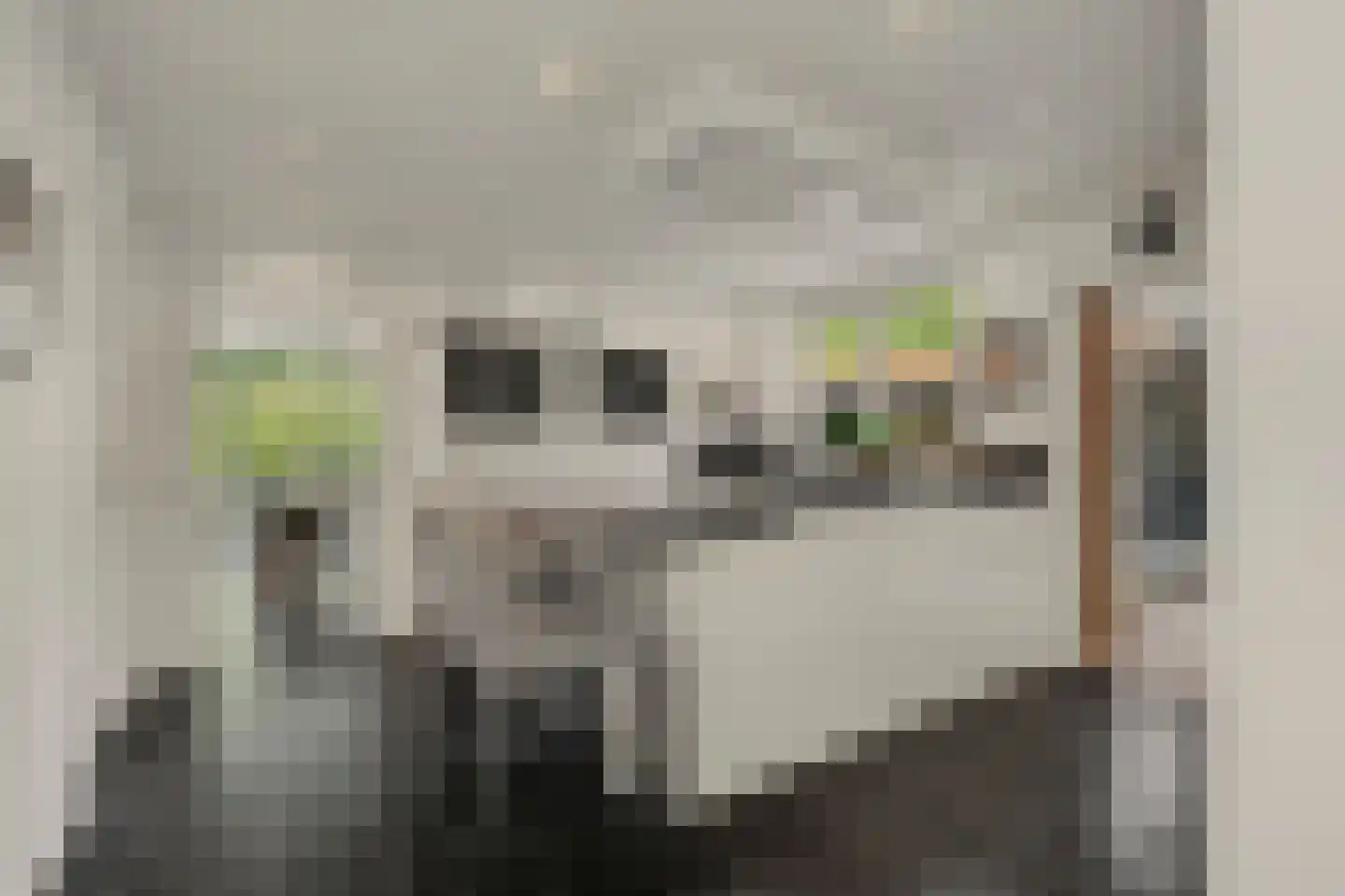 Ranonkelstraat 28 Vught thumbnail 13