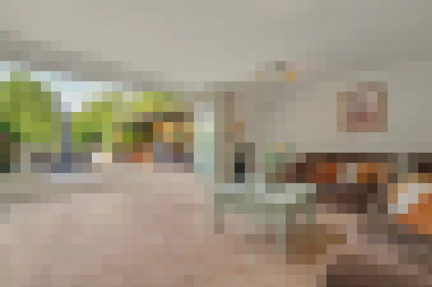 Ranonkelstraat 28 Vught thumbnail 18