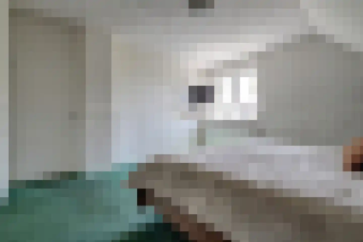 Ranonkelstraat 28 Vught thumbnail 18