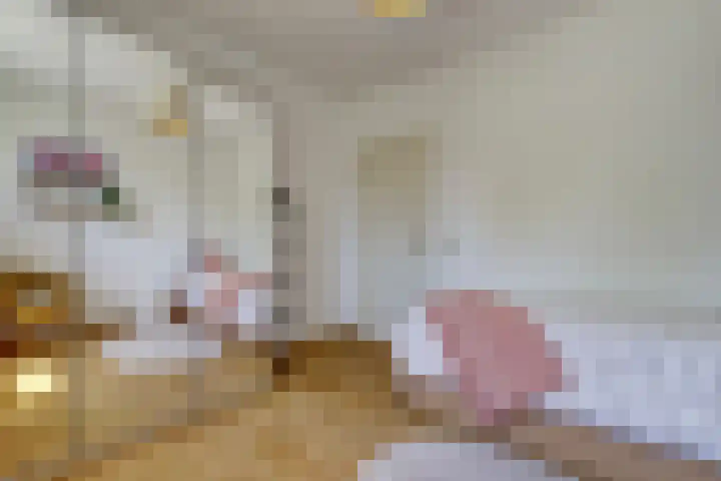 Ranonkelstraat 28 Vught thumbnail 25