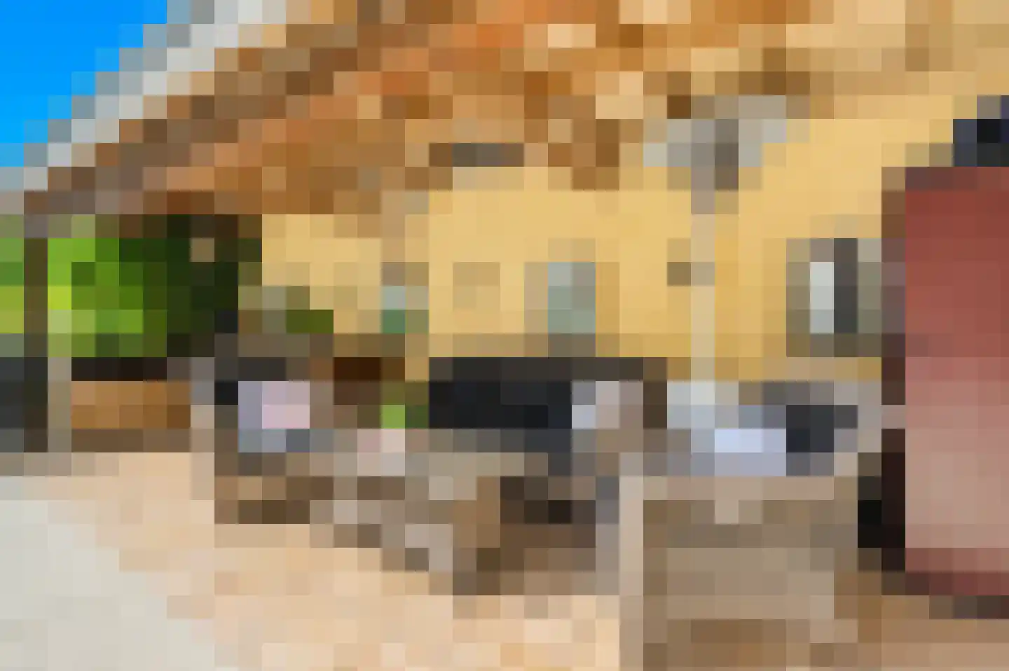 Ranonkelstraat 28 Vught thumbnail 37