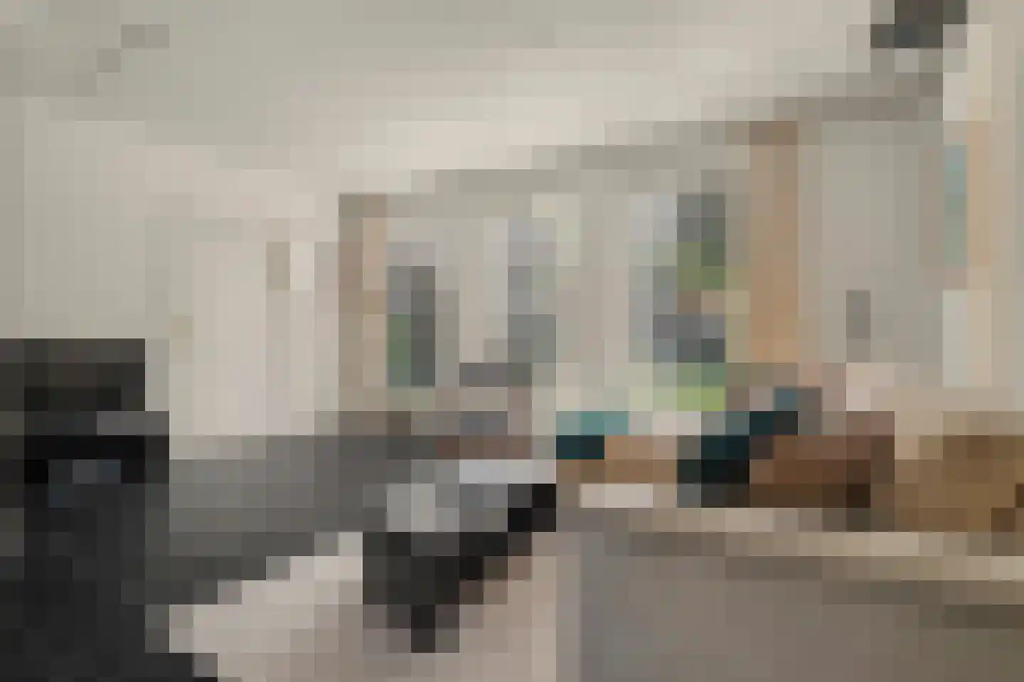 Ranonkelstraat 28 Vught thumbnail 4