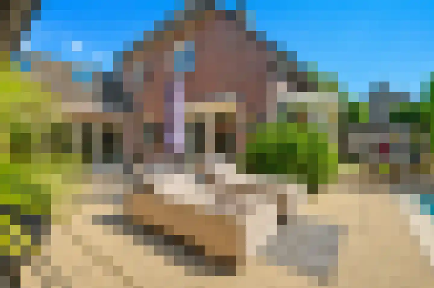 Ranonkelstraat 28 Vught thumbnail 41