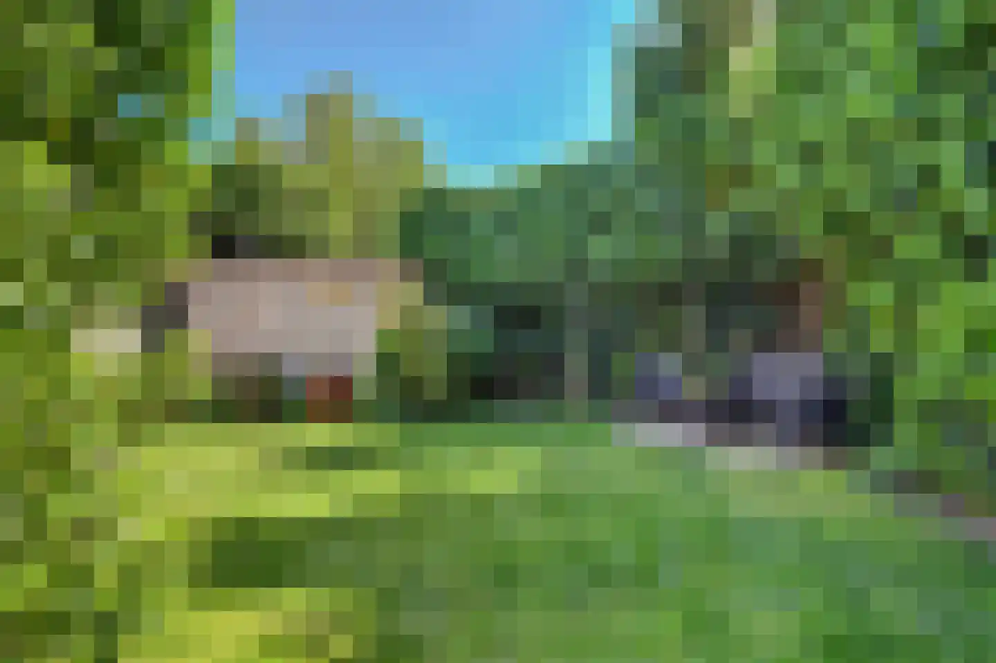 Ranonkelstraat 28 Vught thumbnail 43