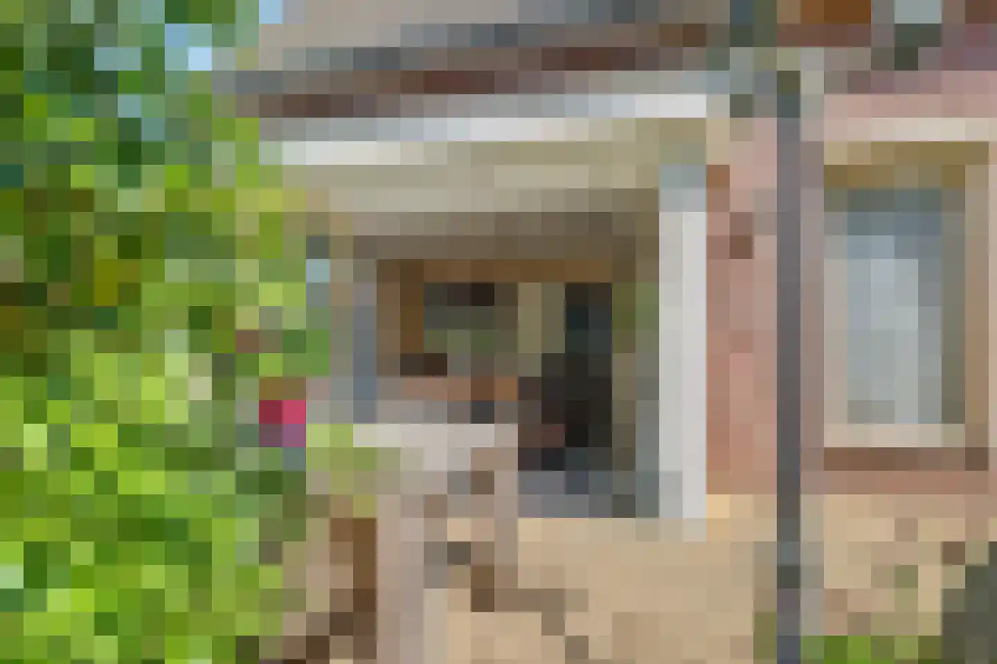Ranonkelstraat 28 Vught thumbnail 45