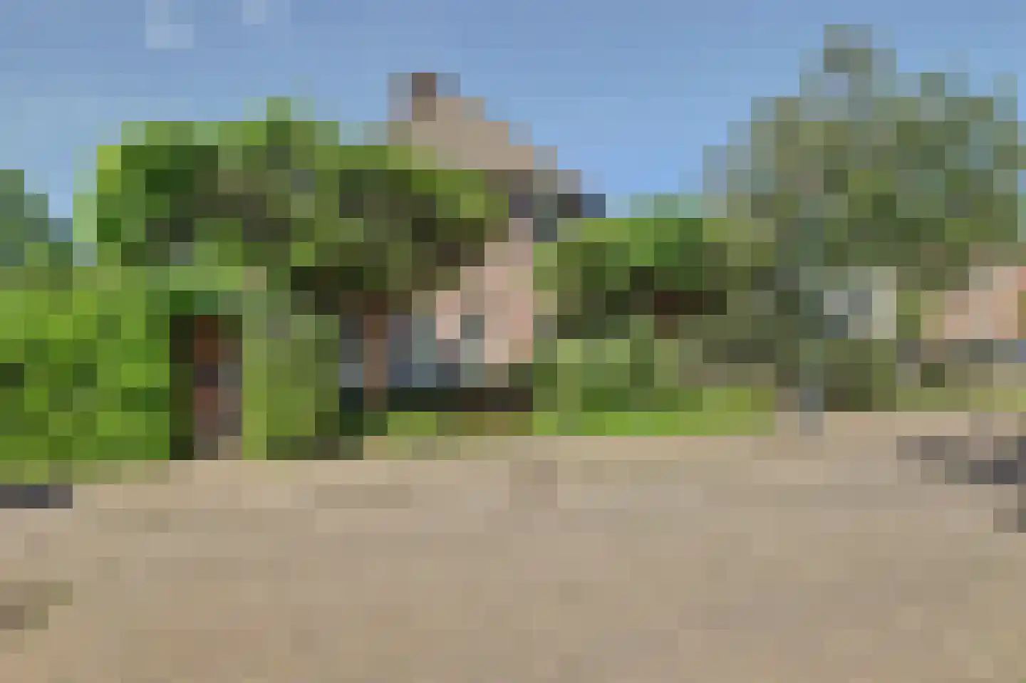 Ranonkelstraat 28 Vught thumbnail 47