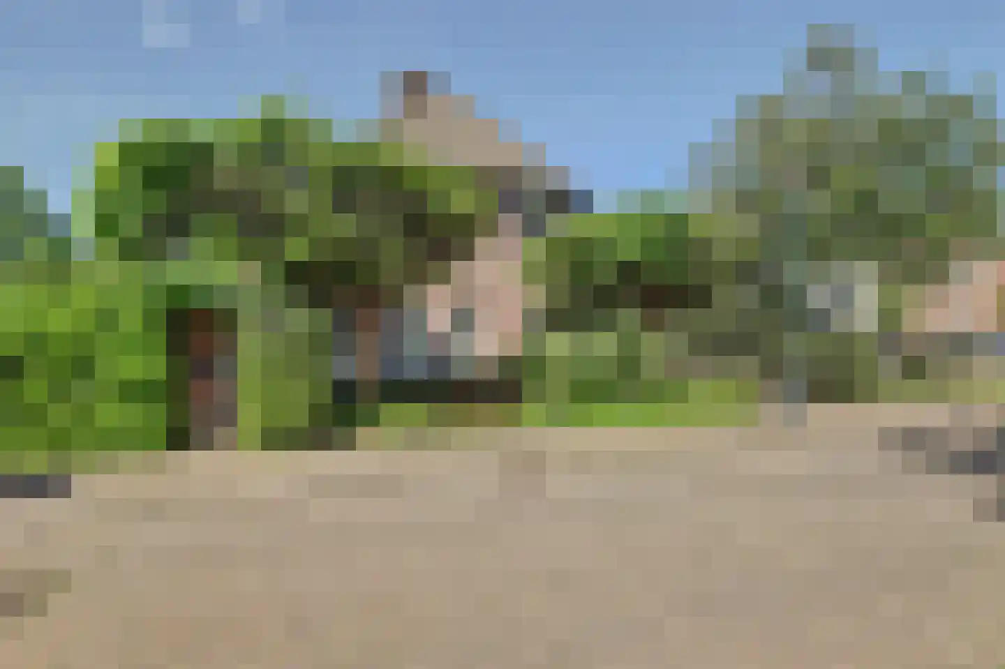 Ranonkelstraat 28 Vught thumbnail 51