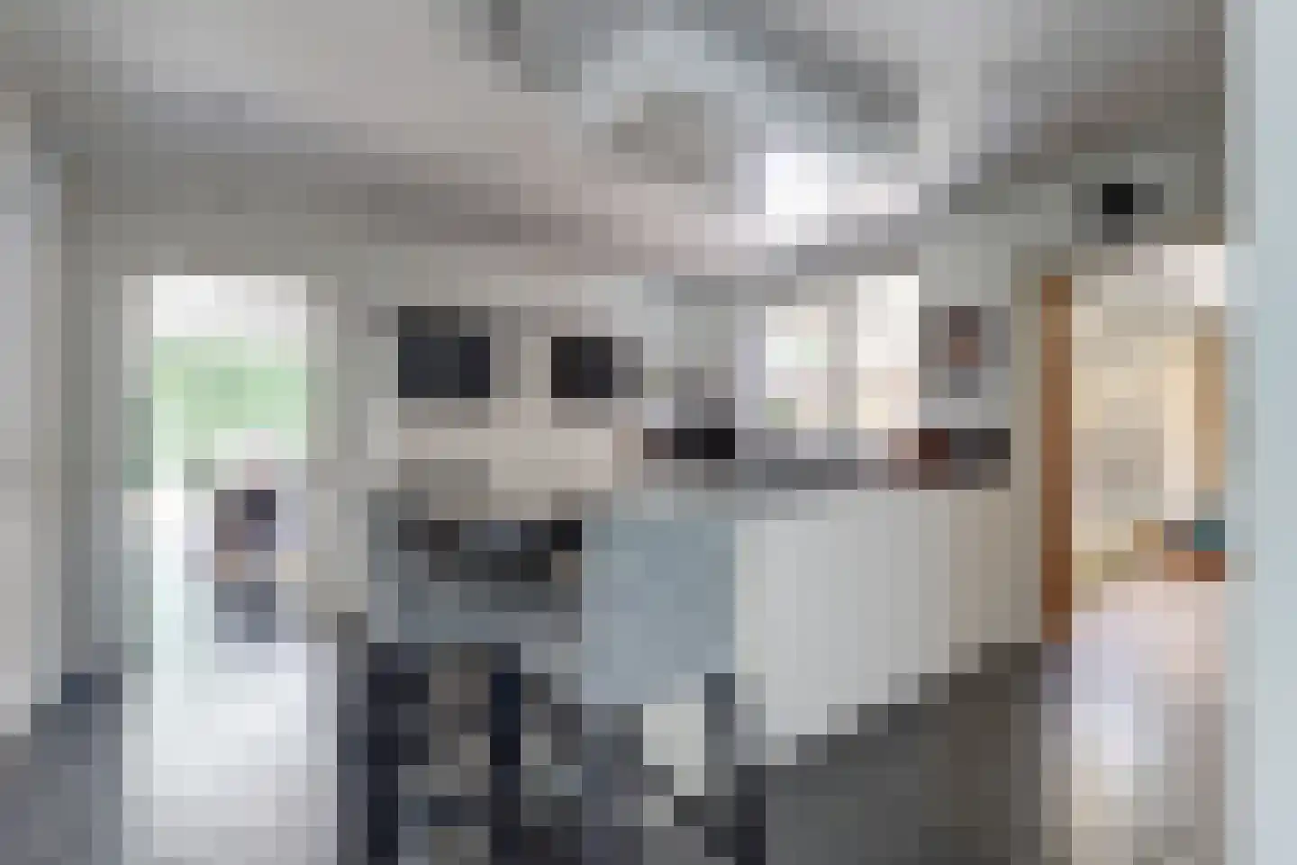 Ranonkelstraat 28 Vught thumbnail 6