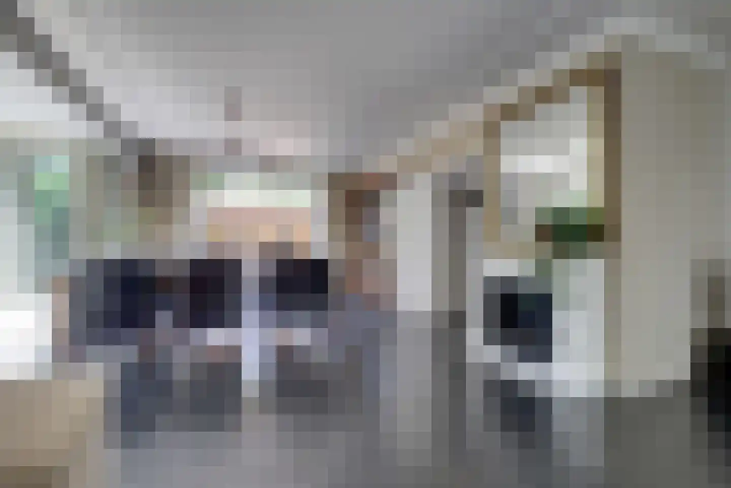 Ranonkelstraat 28 Vught thumbnail 7