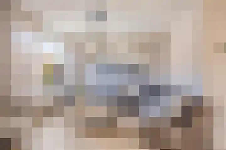 Ranonkelstraat 29 Heteren thumbnail 10