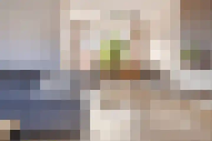 Ranonkelstraat 29 Heteren thumbnail 11