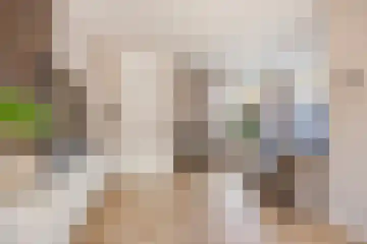 Ranonkelstraat 29 Heteren thumbnail 12