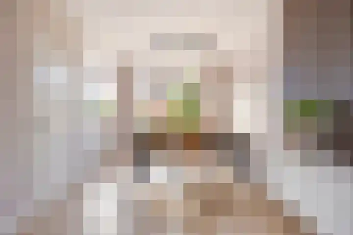 Ranonkelstraat 29 Heteren thumbnail 13