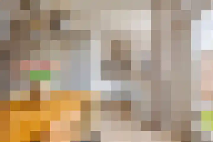 Ranonkelstraat 29 Heteren thumbnail 15