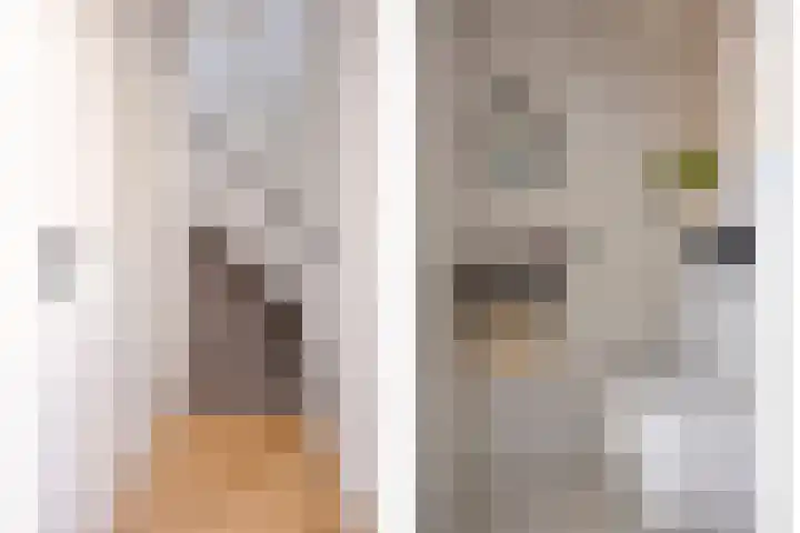 Ranonkelstraat 29 Heteren thumbnail 18