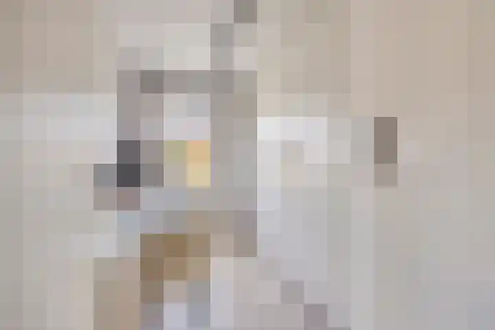 Ranonkelstraat 29 Heteren thumbnail 20