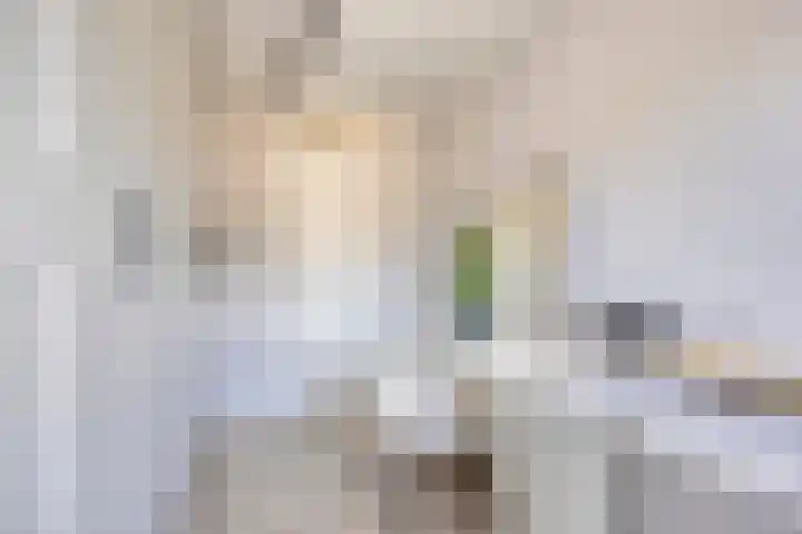 Ranonkelstraat 29 Heteren thumbnail 21
