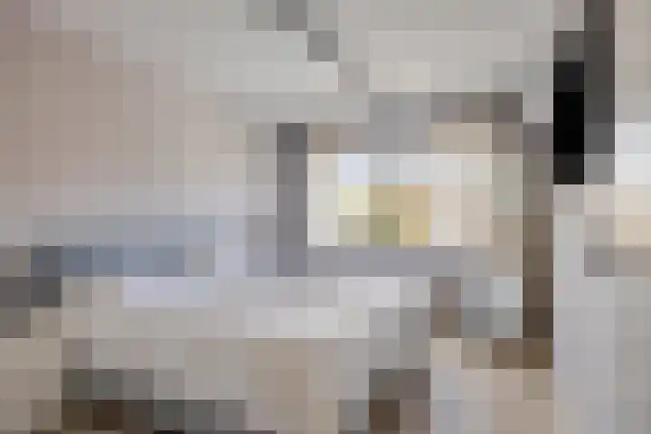 Ranonkelstraat 29 Heteren thumbnail 22
