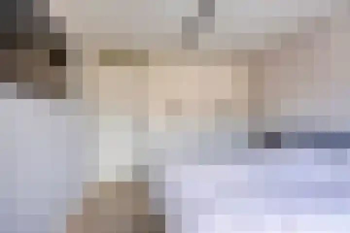 Ranonkelstraat 29 Heteren thumbnail 23