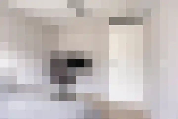 Ranonkelstraat 29 Heteren thumbnail 25