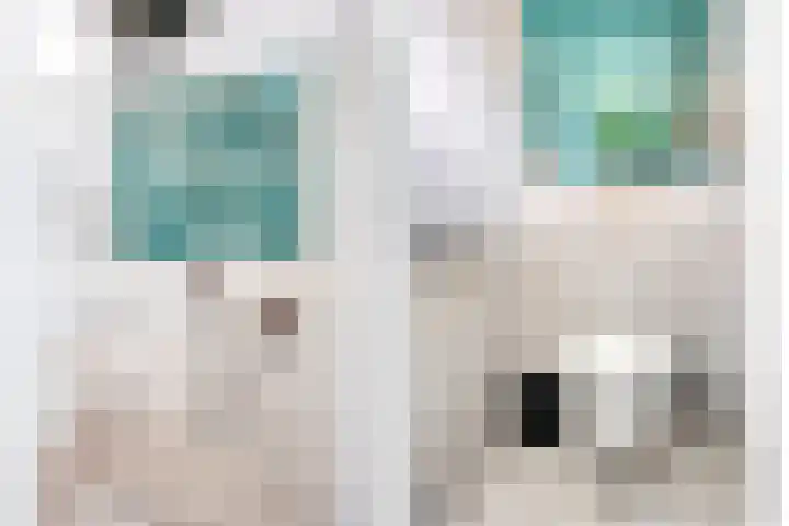 Ranonkelstraat 29 Heteren thumbnail 27