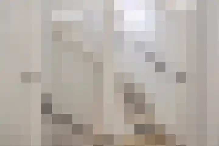Ranonkelstraat 29 Heteren thumbnail 29