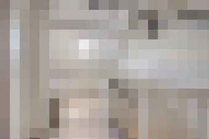 Ranonkelstraat 29 Heteren thumbnail 31