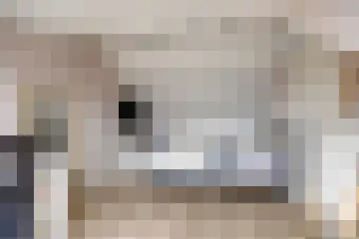 Ranonkelstraat 29 Heteren thumbnail 32
