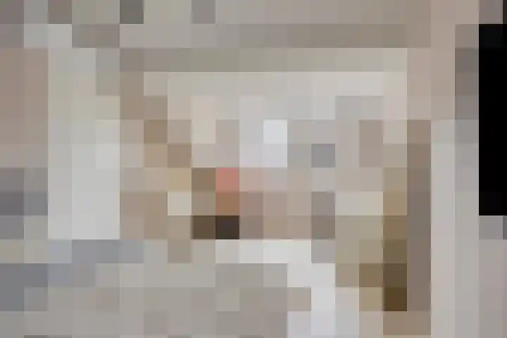 Ranonkelstraat 29 Heteren thumbnail 33