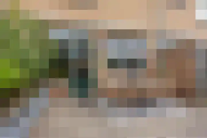 Ranonkelstraat 29 Heteren thumbnail 35