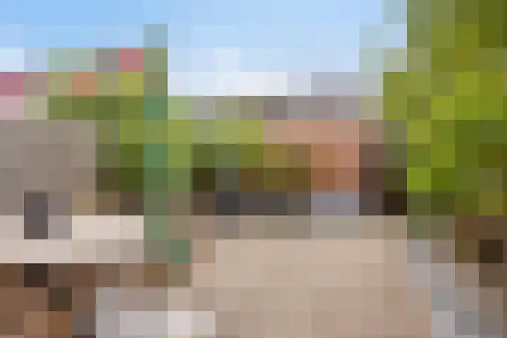 Ranonkelstraat 29 Heteren thumbnail 36