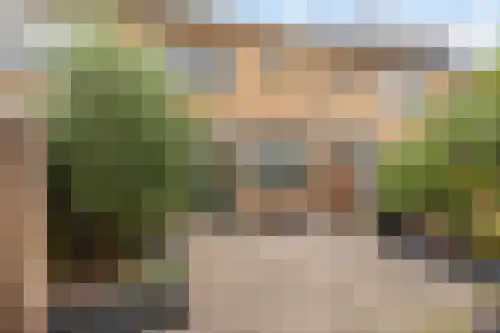 Ranonkelstraat 29 Heteren thumbnail 38