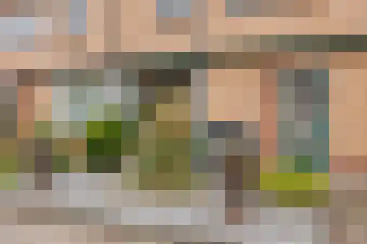 Ranonkelstraat 29 Heteren thumbnail 7