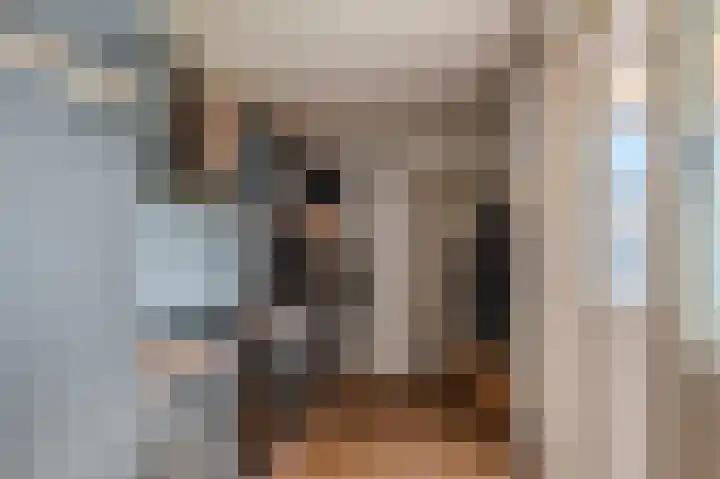 Ranonkelstraat 29 Sappemeer thumbnail 15