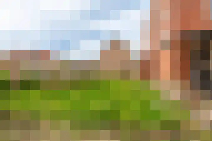 Ranonkelstraat 29 Sappemeer thumbnail 30