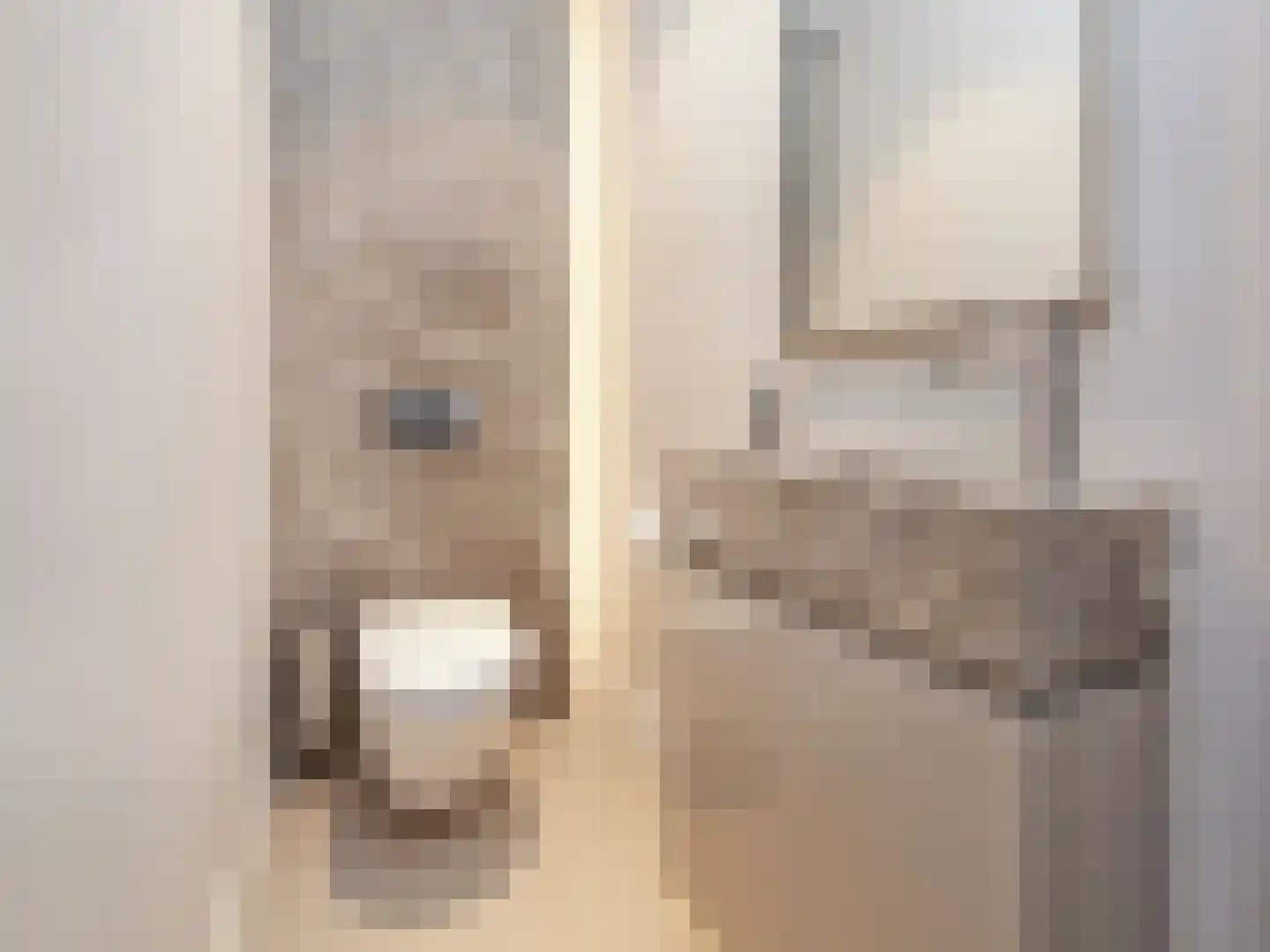 Ranonkelstraat 3 Badhoevedorp thumbnail 26