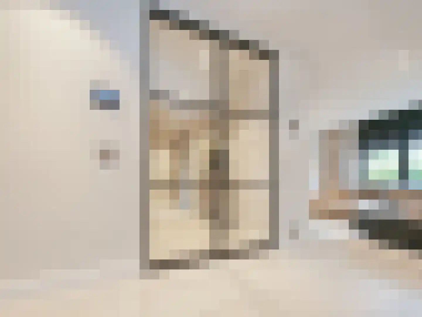 Ranonkelstraat 3 Badhoevedorp thumbnail 32