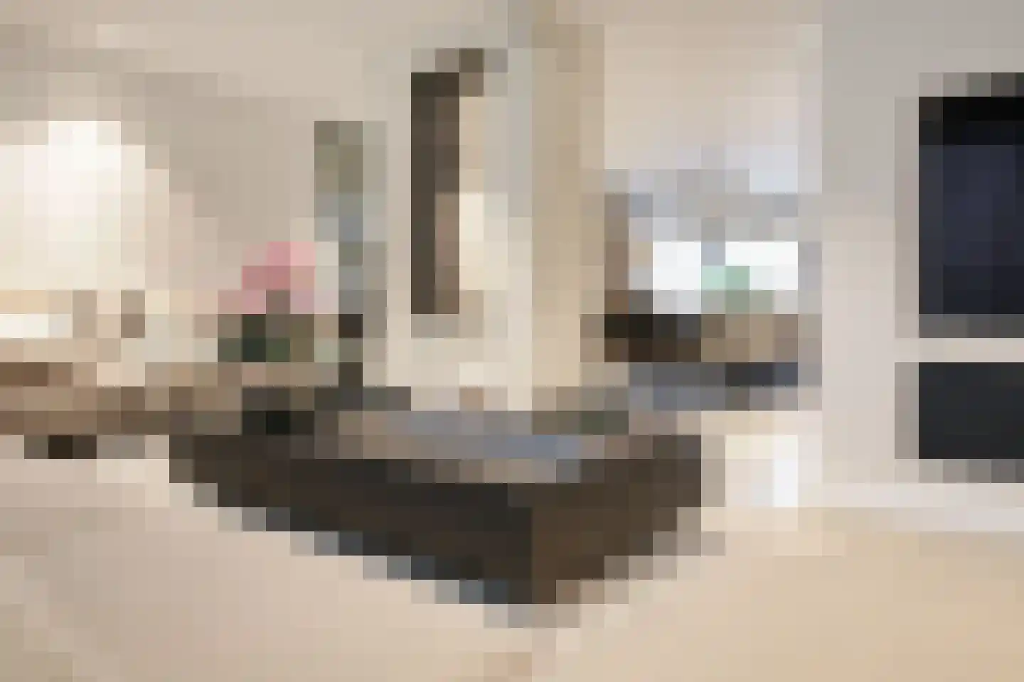 Ranonkelstraat 3 Badhoevedorp thumbnail 4