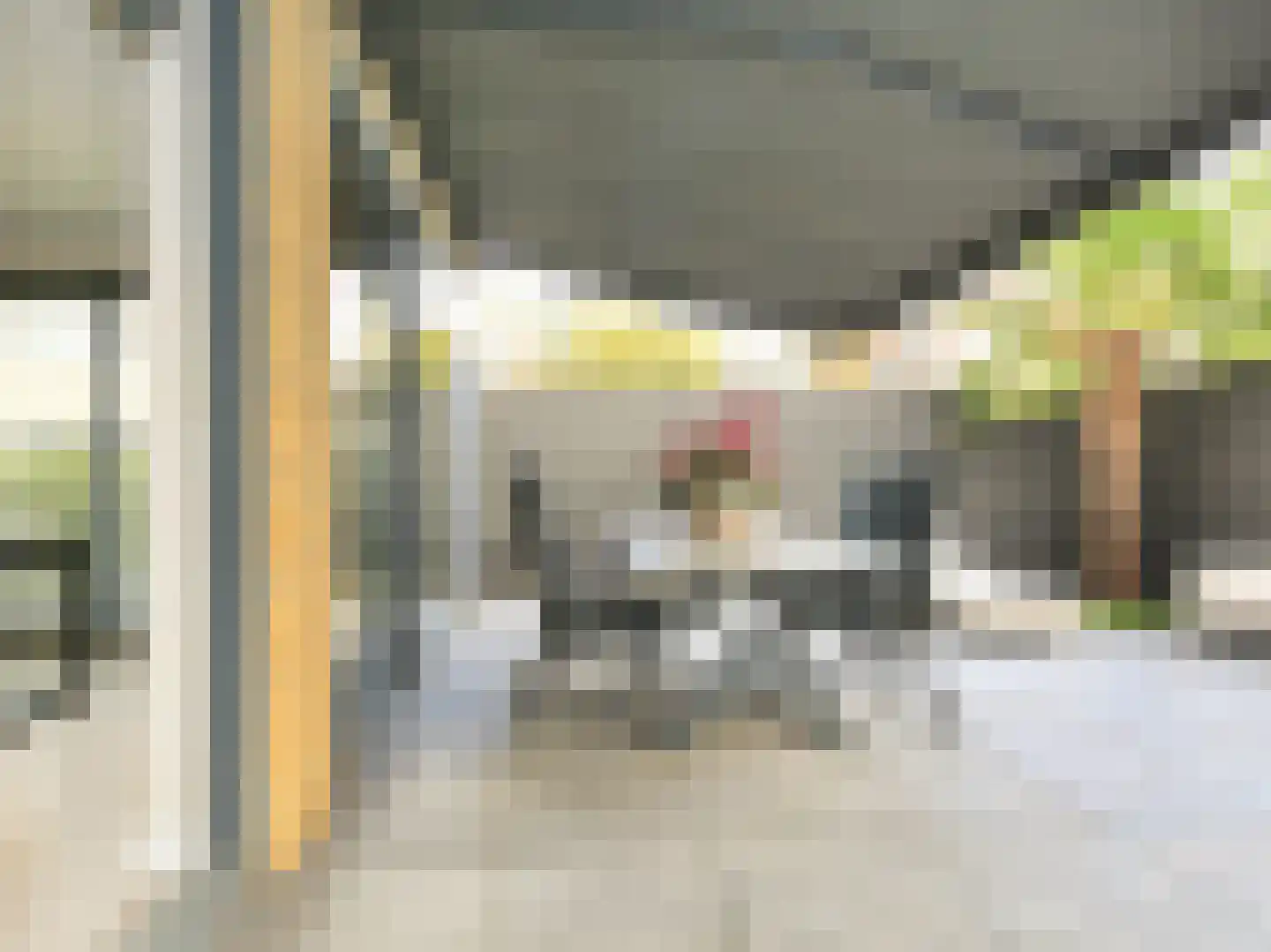 Ranonkelstraat 3 Badhoevedorp thumbnail 46