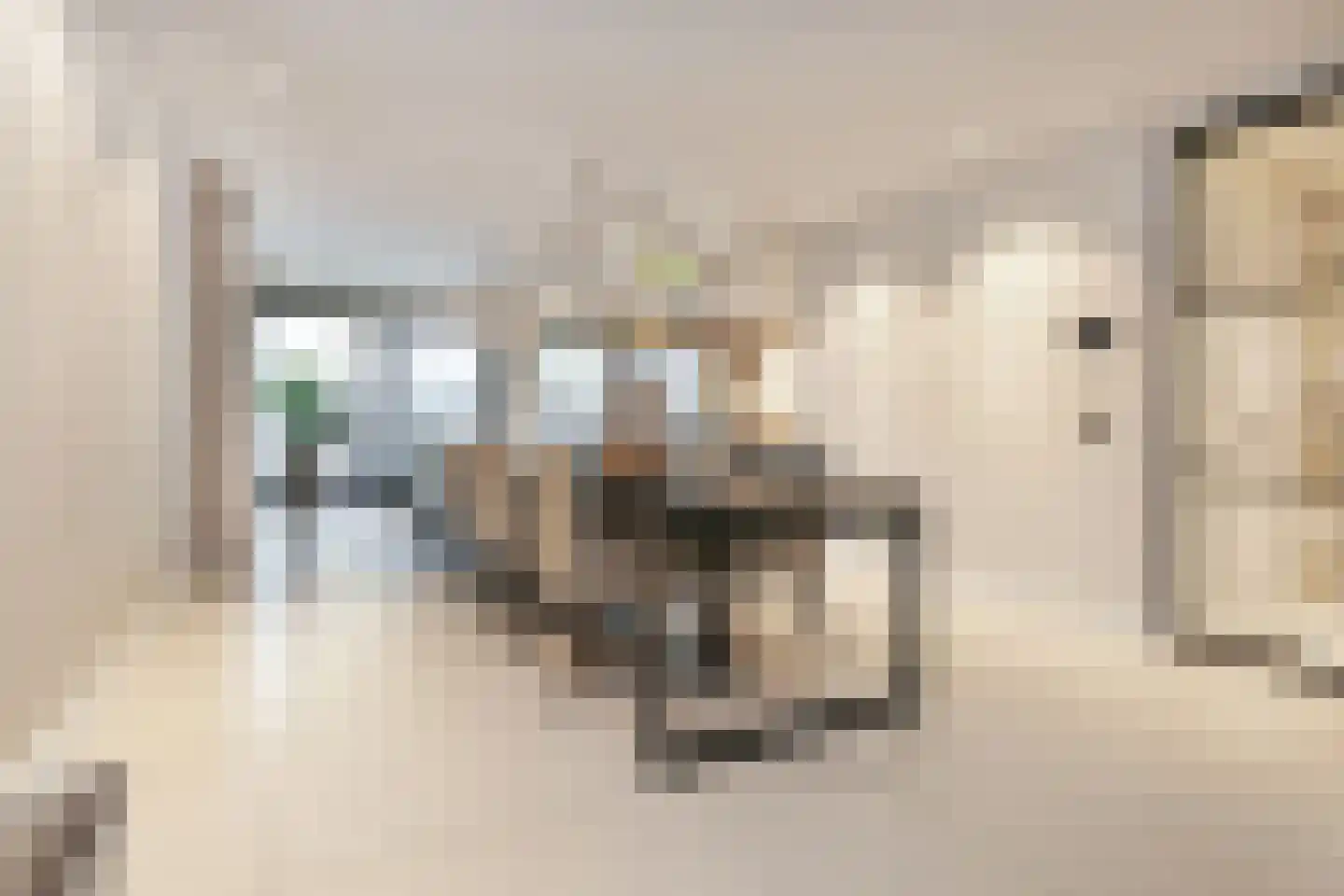 Ranonkelstraat 3 Badhoevedorp thumbnail 51