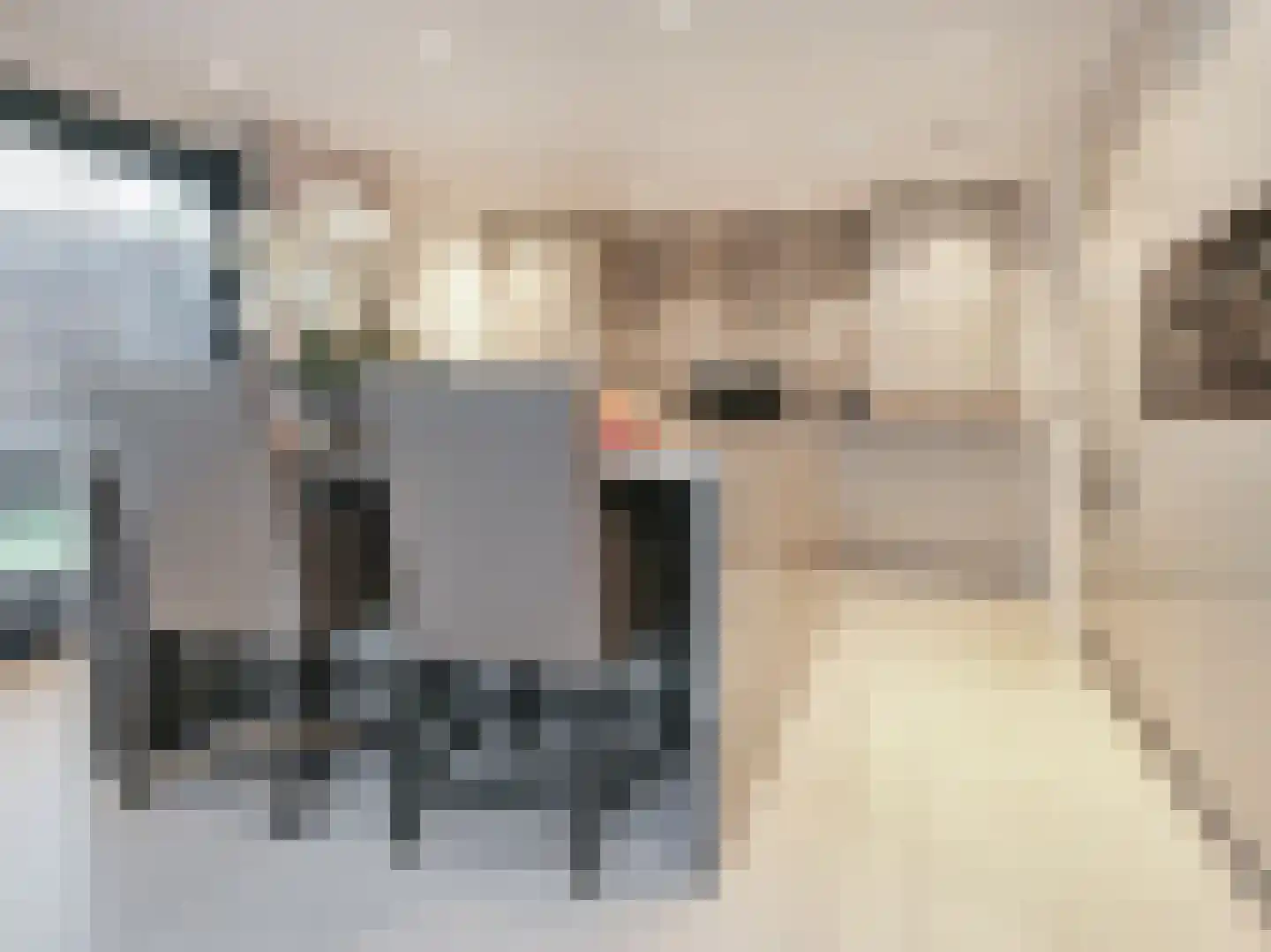 Ranonkelstraat 3 Badhoevedorp thumbnail 7