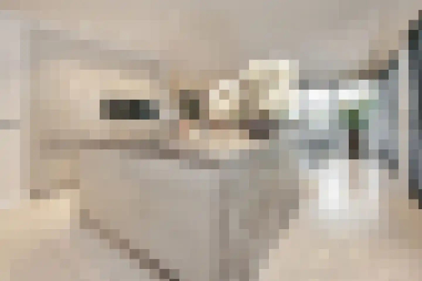 Ranonkelstraat 3 Badhoevedorp thumbnail 8