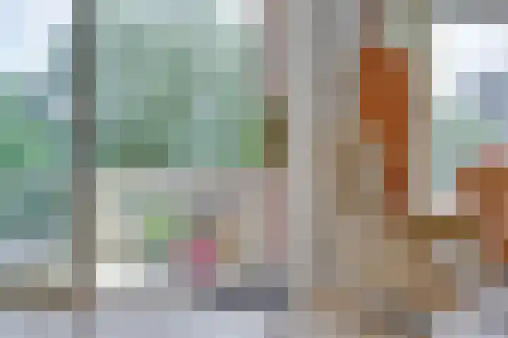 Ranonkelstraat 3 Den Haag thumbnail 17
