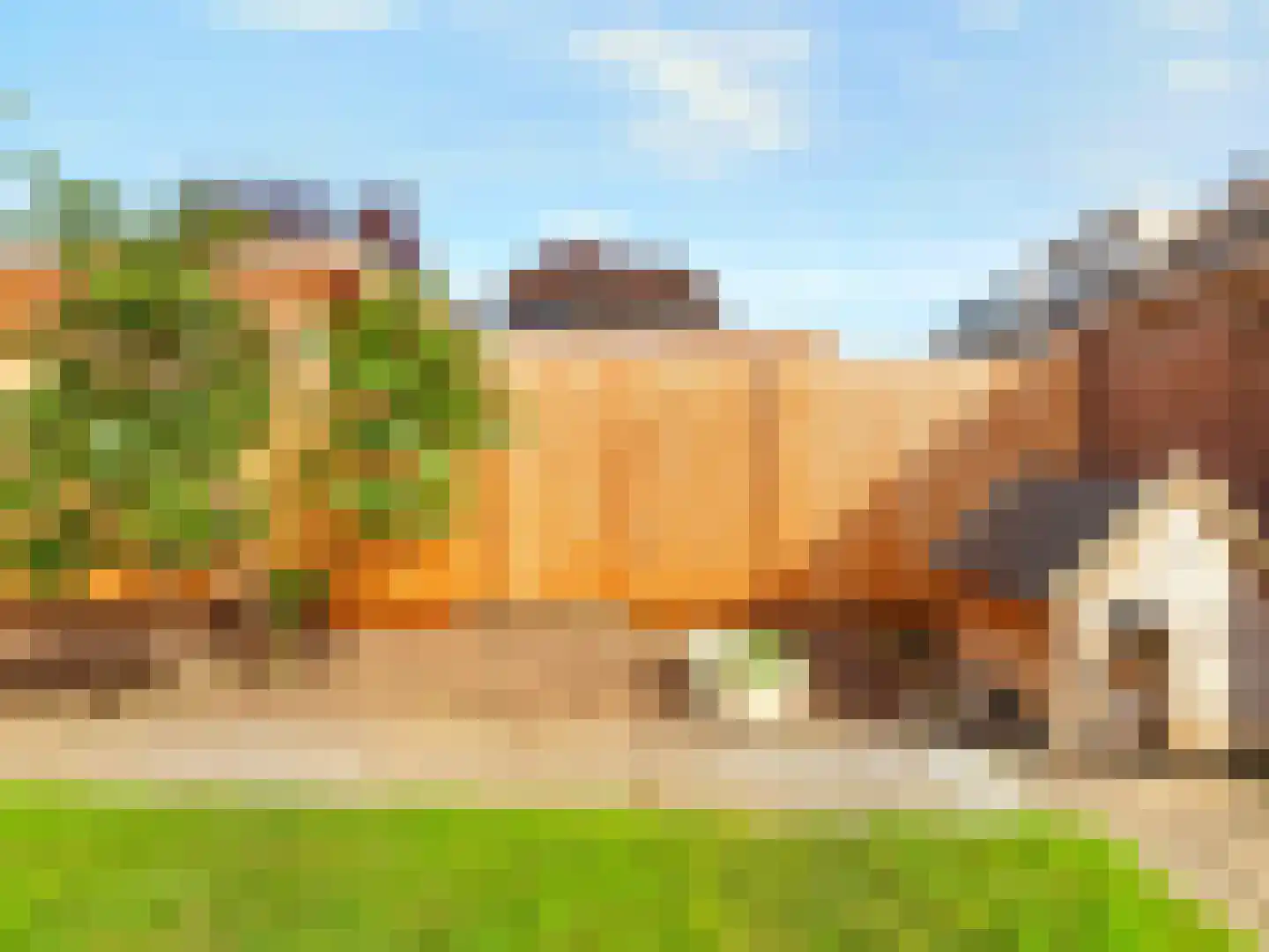 Ranonkelstraat 30 Arnhem thumbnail 21