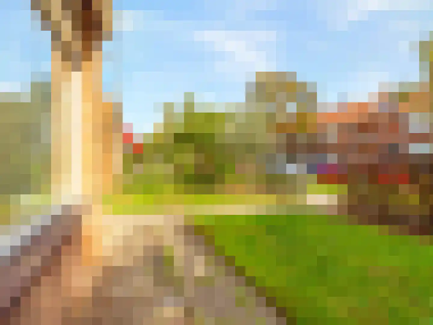 Ranonkelstraat 30 Arnhem thumbnail 22