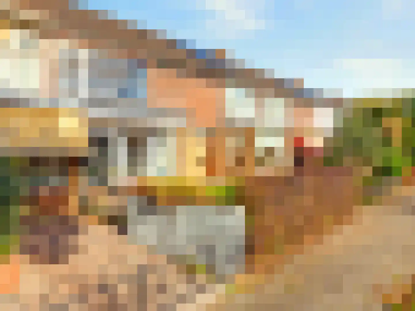Ranonkelstraat 30 Arnhem thumbnail 25