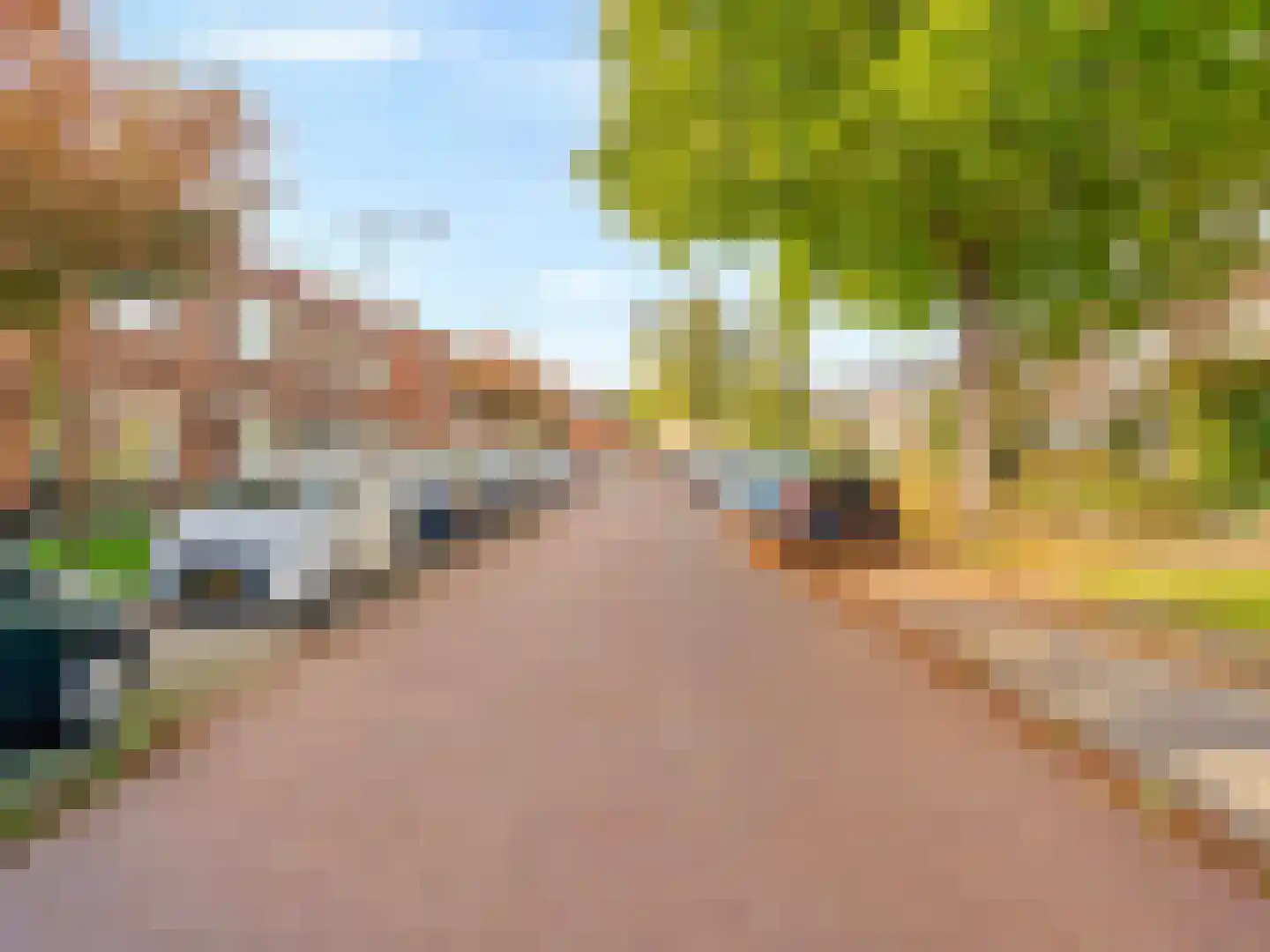 Ranonkelstraat 30 Arnhem thumbnail 27