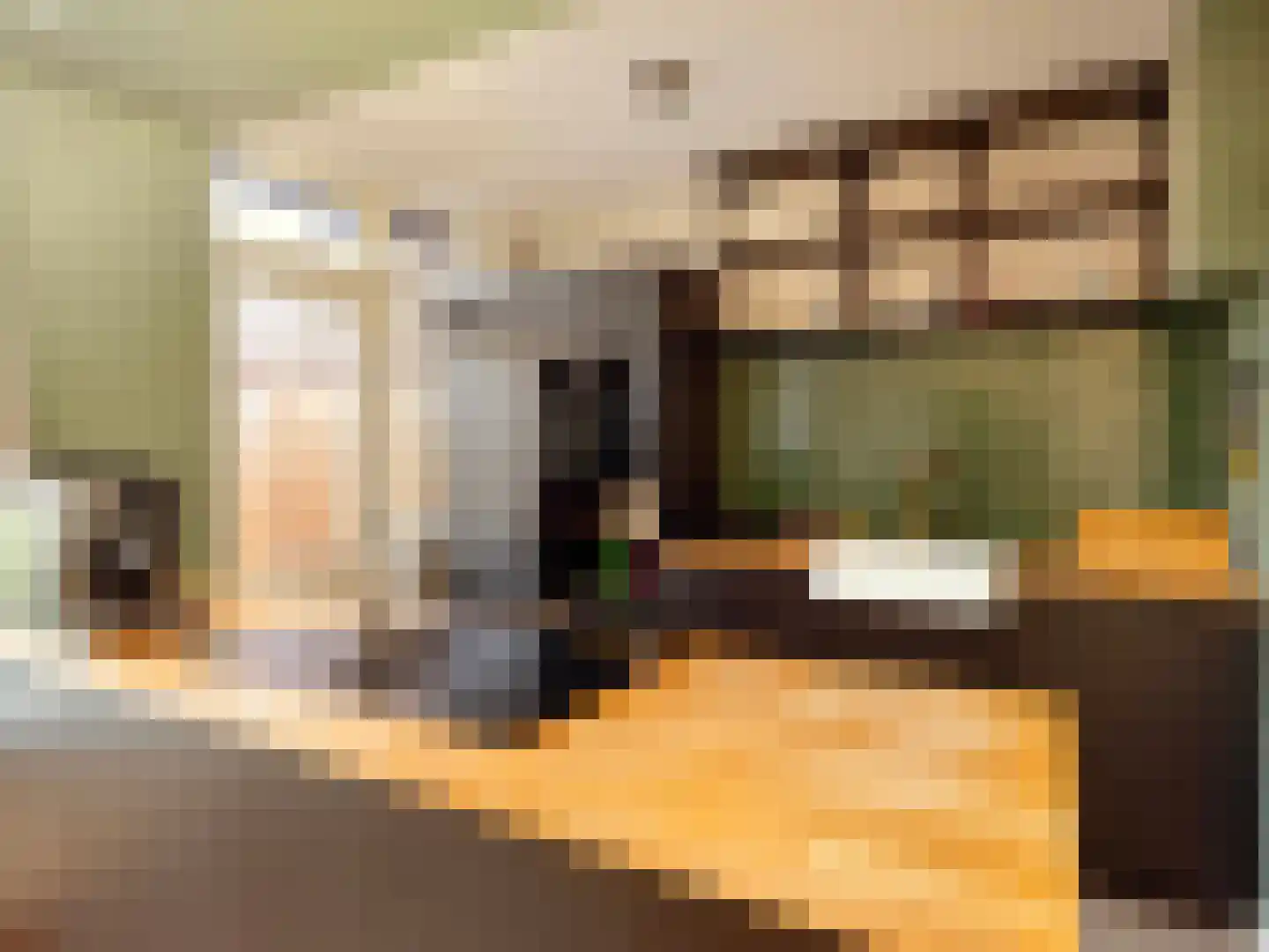 Ranonkelstraat 30 Arnhem thumbnail 5