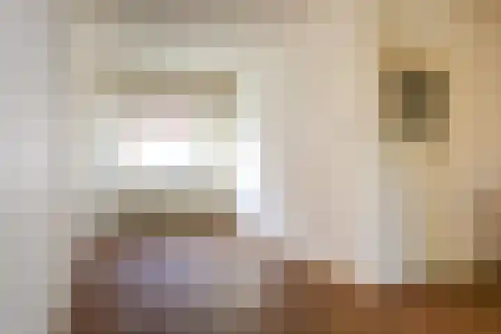 Ranonkelstraat 30 Eindhoven thumbnail 11